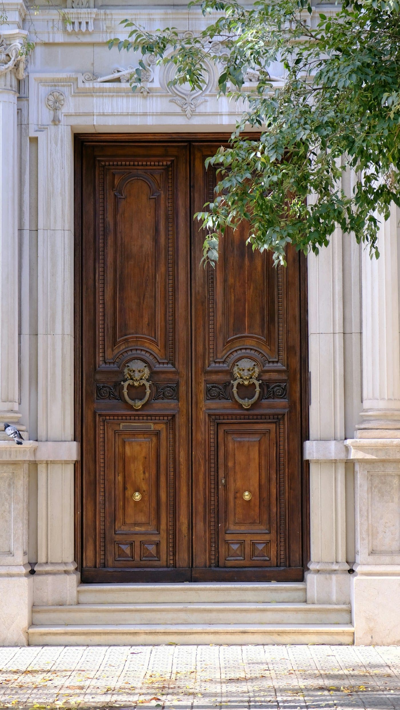 Flush Doors by Mata Mauli Industries